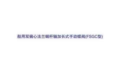 船用双偏心法兰蜗杆式加长轴手动蝶阀(FSGG型)
