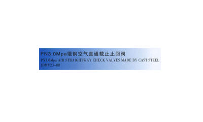 PN3.0MPa锻钢空气直通截止止回阀